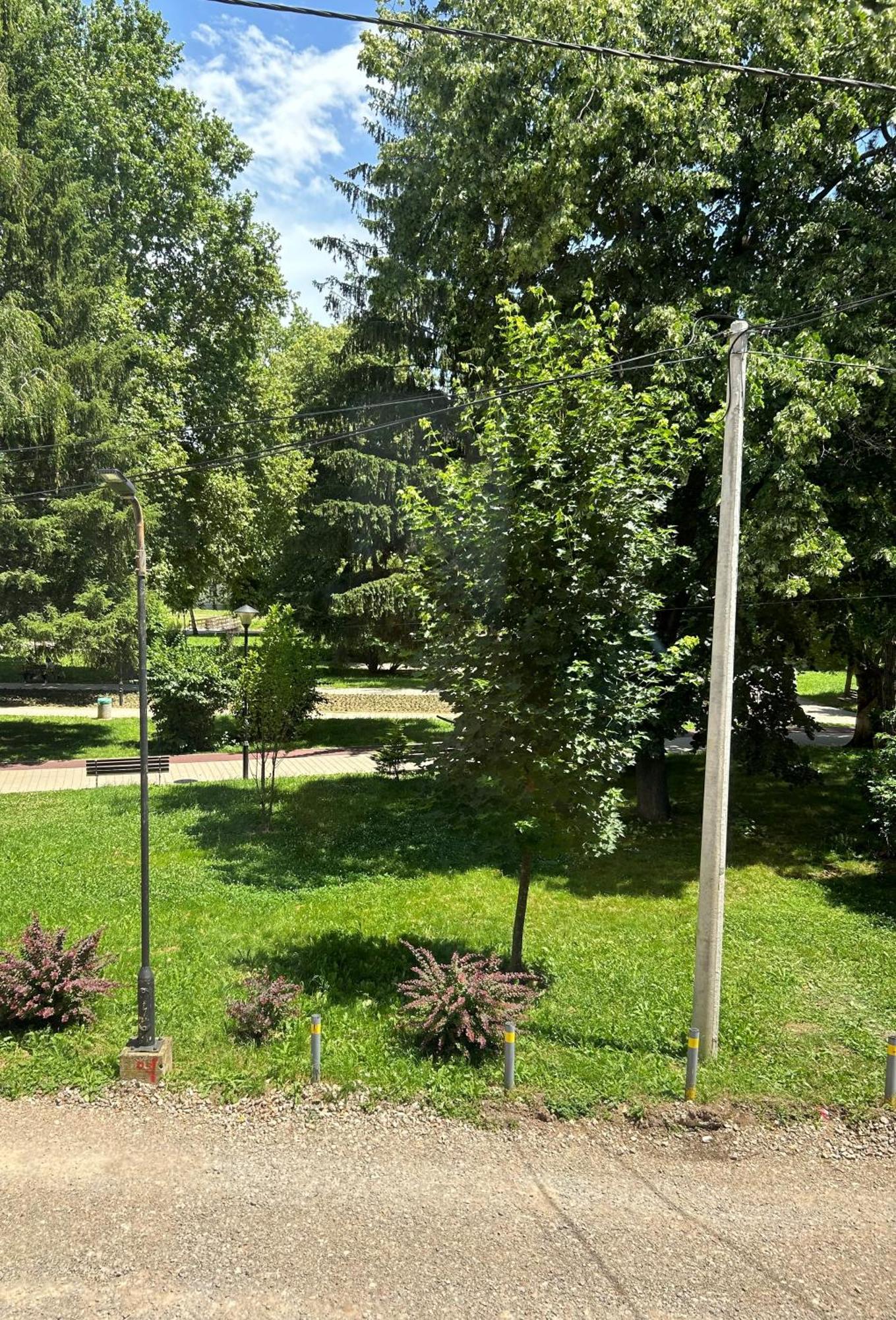 Vila Markovic-A Sokobanja Kamer foto