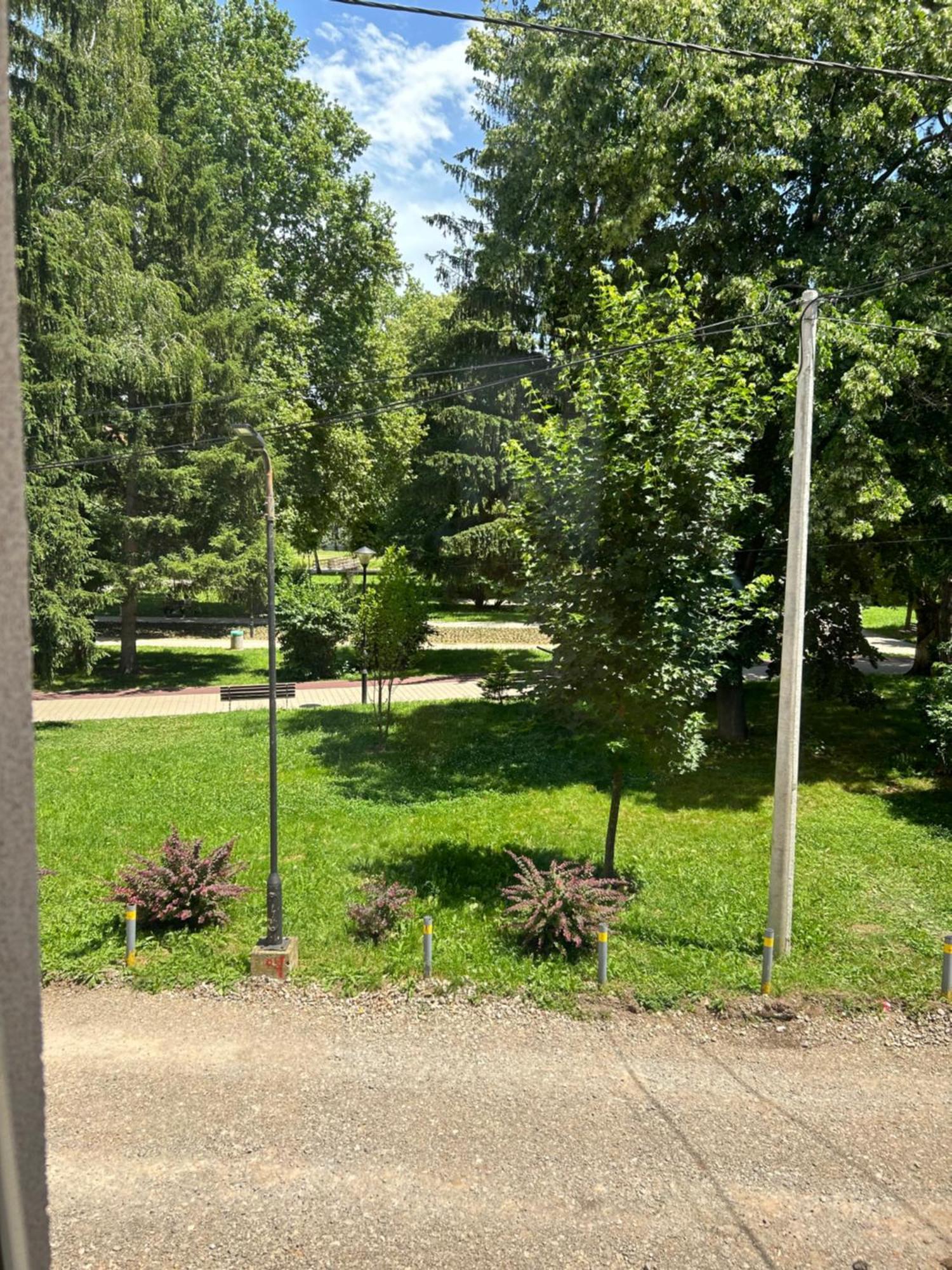 Vila Markovic-A Sokobanja Buitenkant foto
