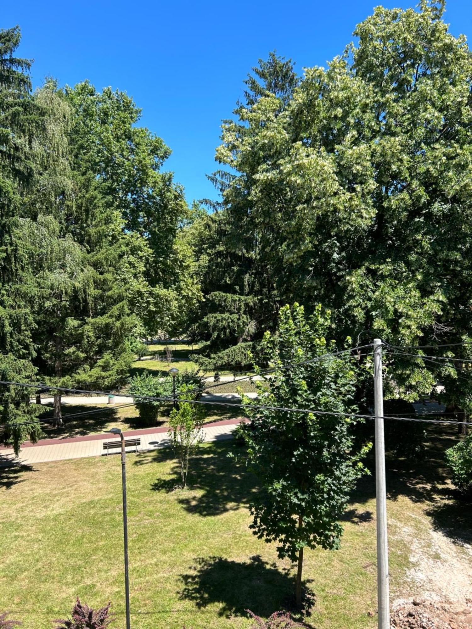 Vila Markovic-A Sokobanja Buitenkant foto